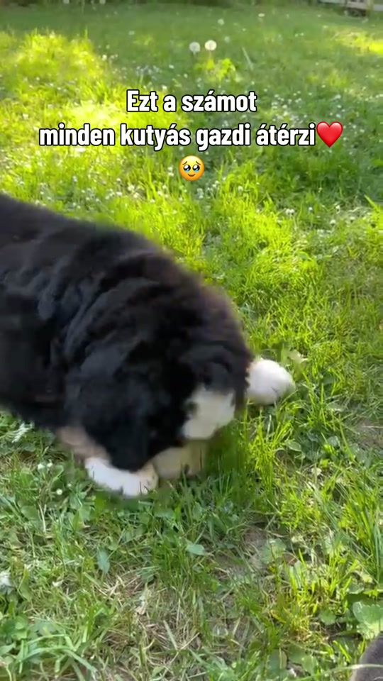 TikTok video thumbnail by born.to.explore.fci