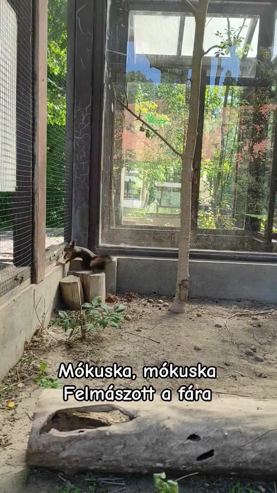 TikTok video thumbnail by ovitv01