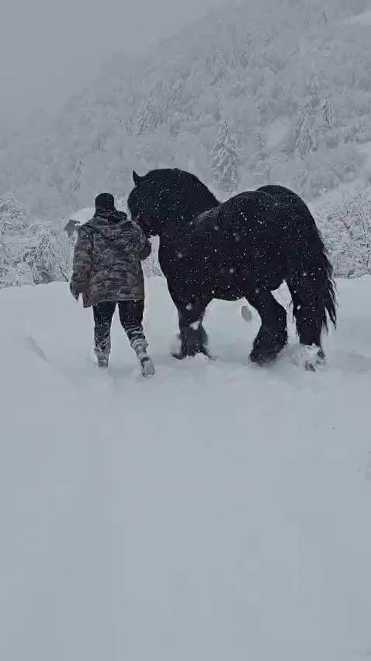 TikTok video thumbnail by ionutmoja1