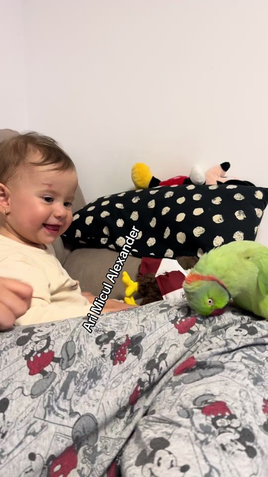 TikTok video thumbnail by ari_micul_alexander
