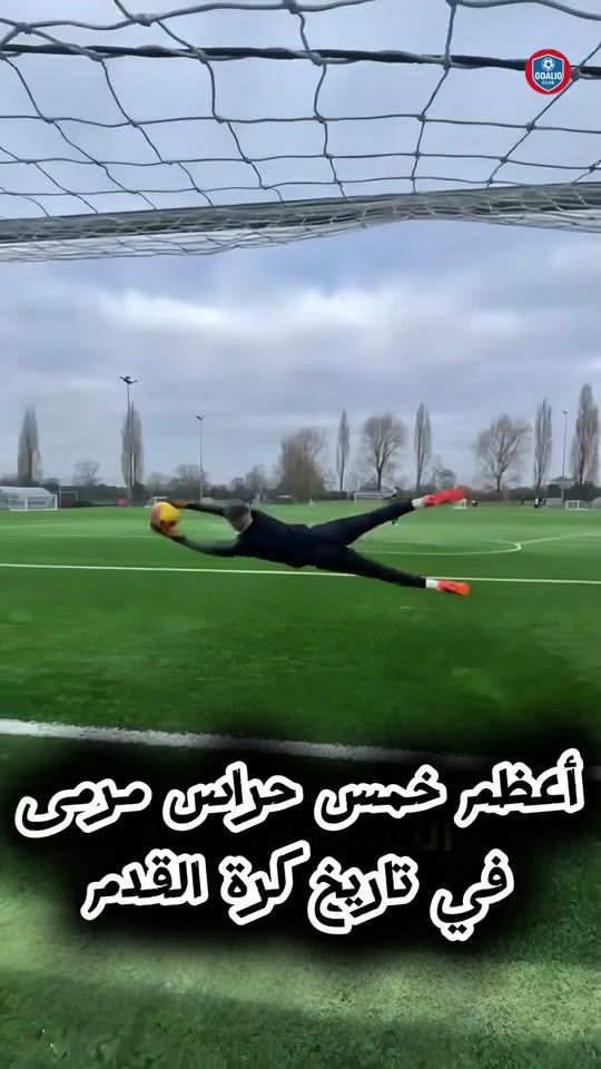 TikTok video thumbnail by goalx13