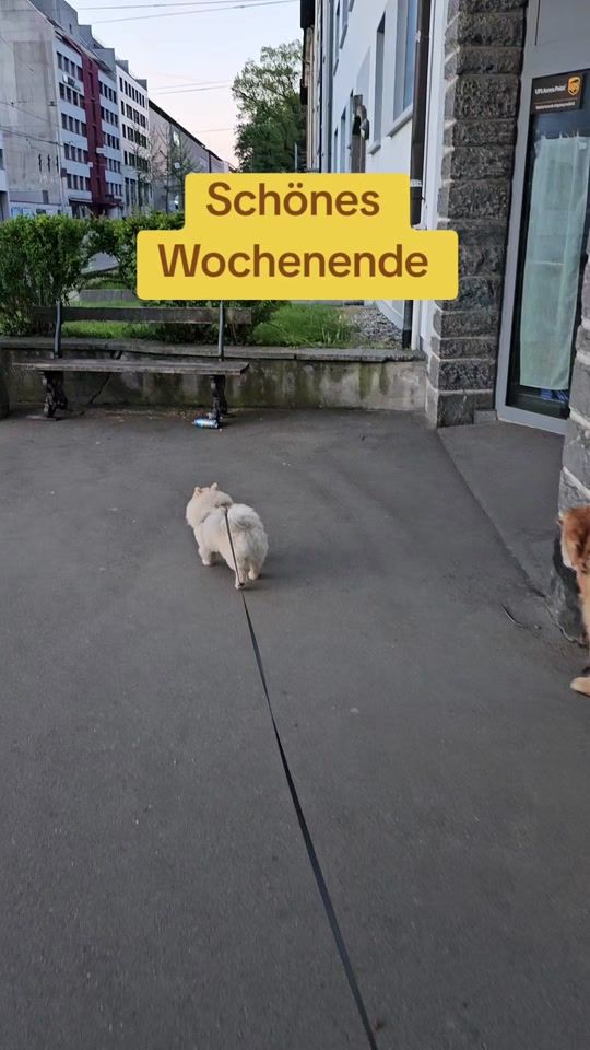 TikTok video thumbnail by pommi_ewok