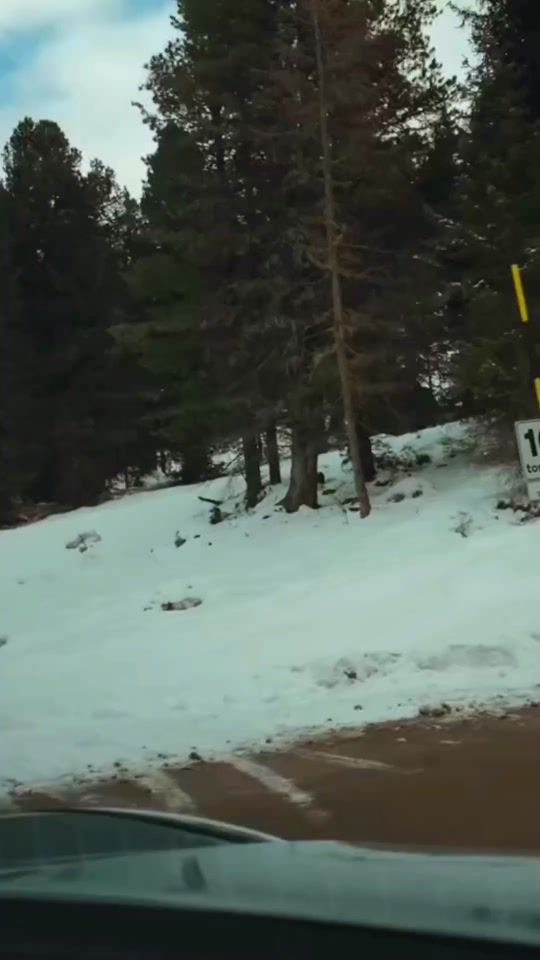 TikTok video thumbnail by mountain_lover58599