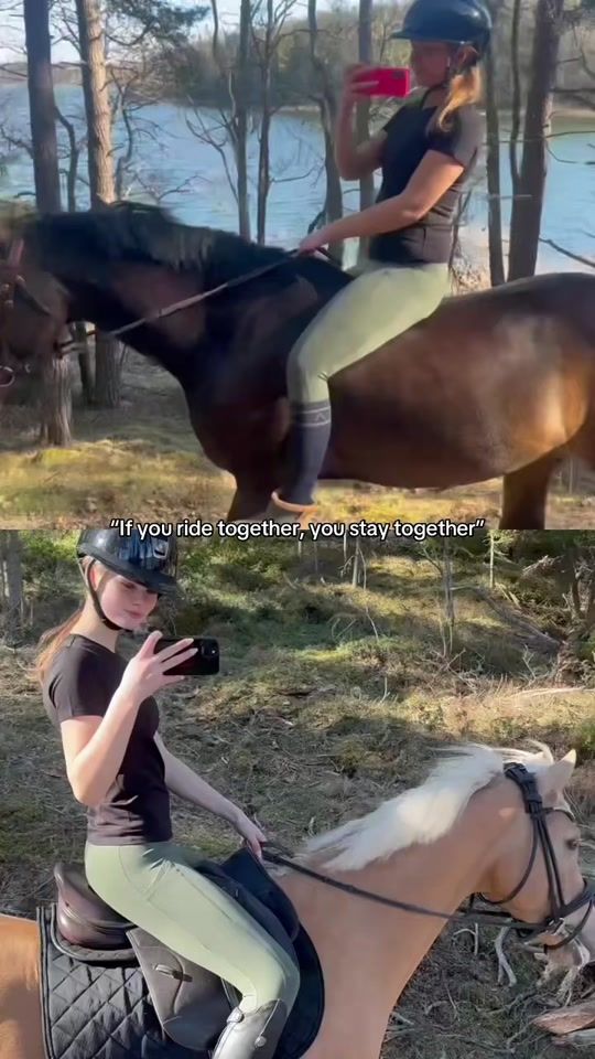 TikTok video thumbnail by allinequestrian