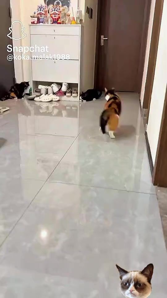 TikTok video thumbnail by user2347657769860