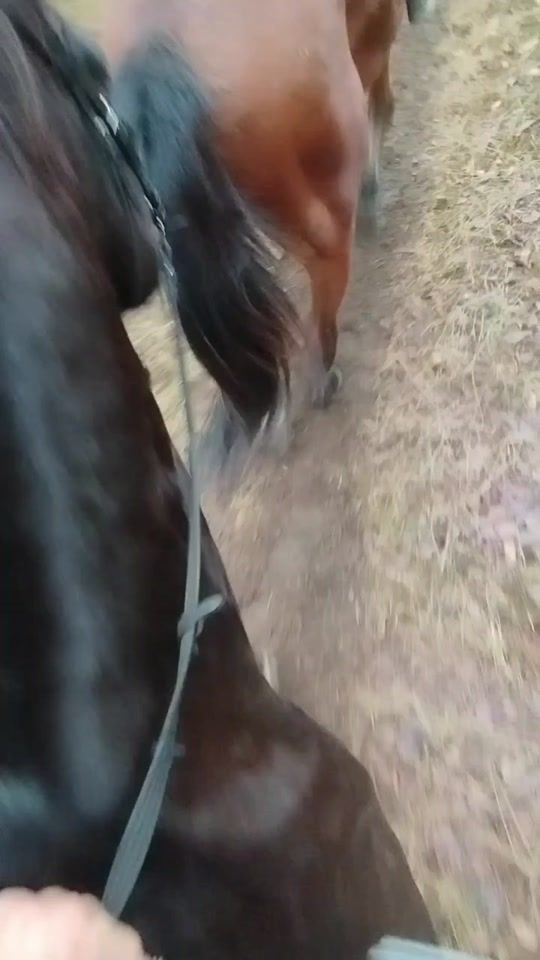 TikTok video thumbnail by karoli_na13