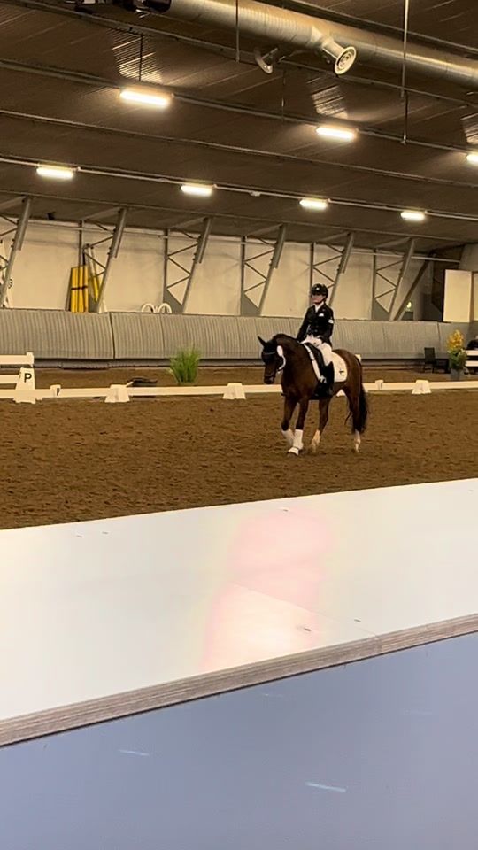 TikTok video thumbnail by ni.dressage