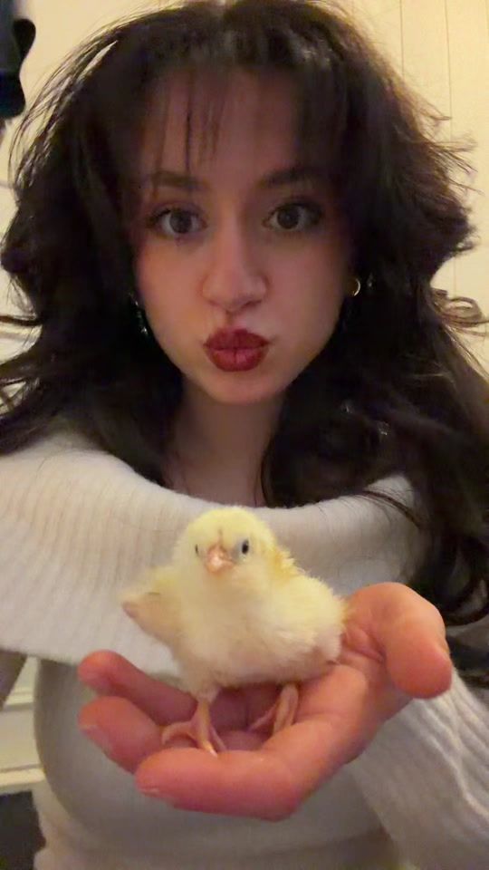 TikTok video thumbnail by that.kurdish.gurl