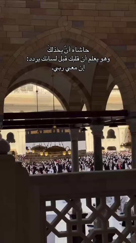 TikTok video thumbnail by veiled_bloom1