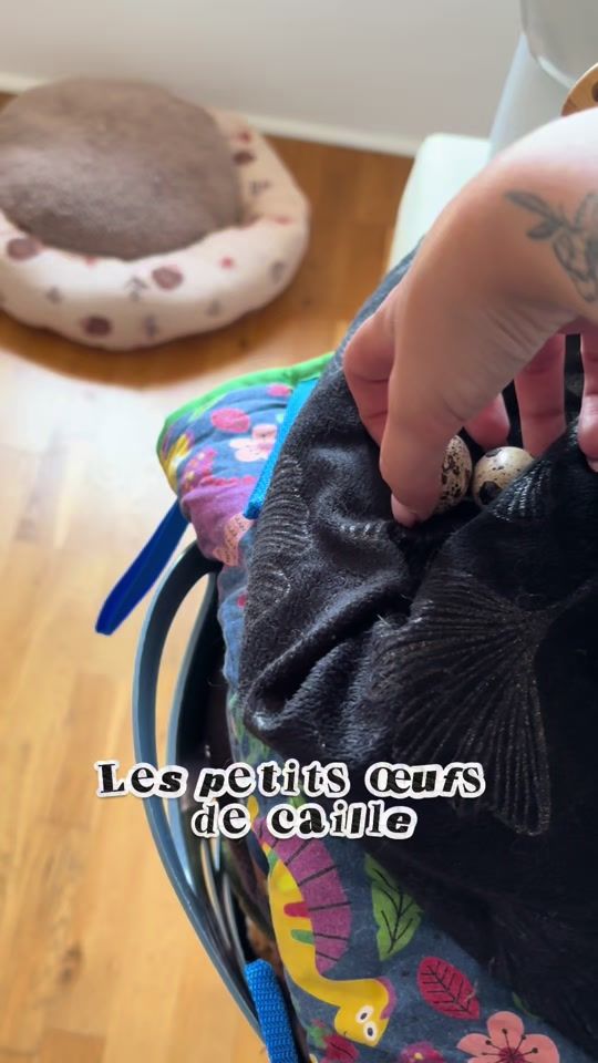 TikTok video thumbnail by _poutpout