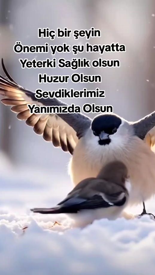 TikTok video thumbnail by kilinc.esmer.02