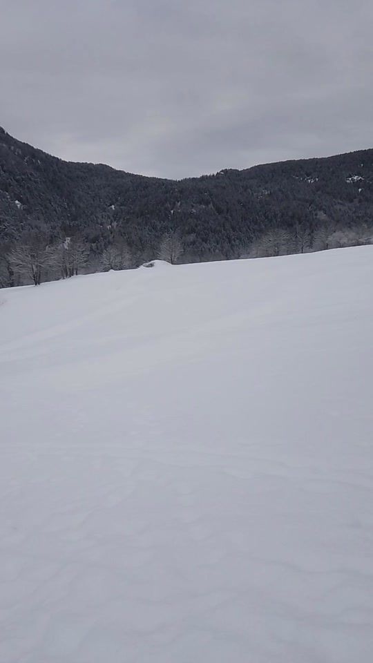 TikTok video thumbnail by ionut.arsenie3