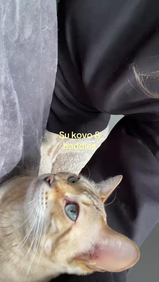TikTok video thumbnail by agnetamalin