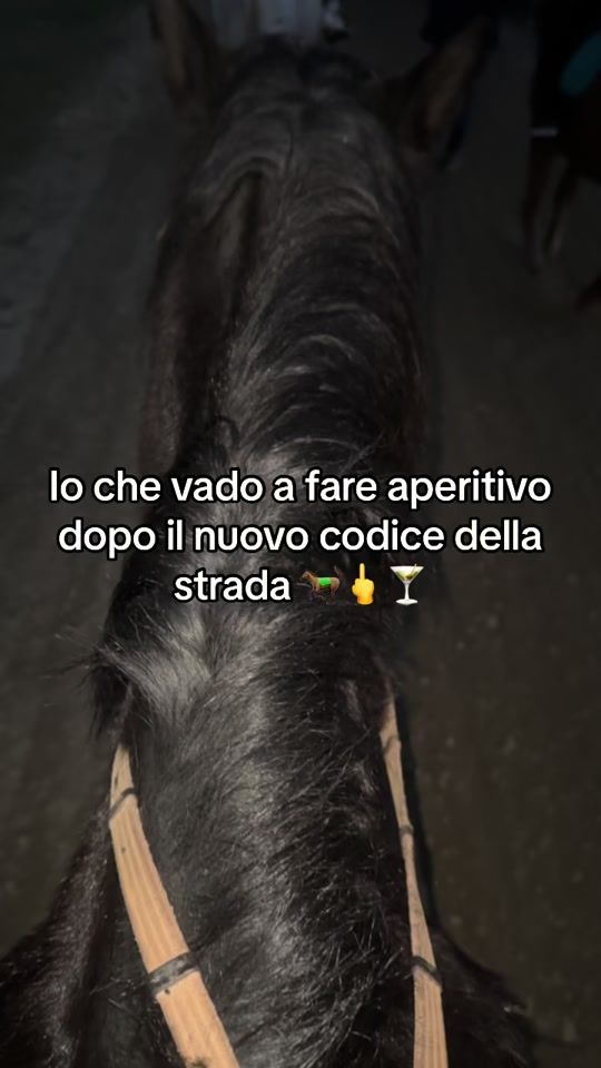 TikTok video thumbnail by iamlamberti