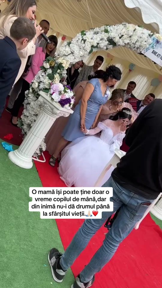 TikTok video thumbnail by anarosca24