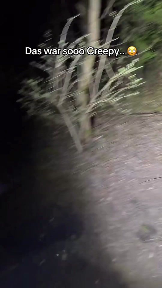 TikTok video thumbnail by adventure_ghosts