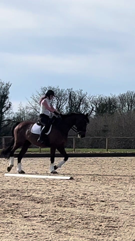TikTok video thumbnail by madimcs.eventing
