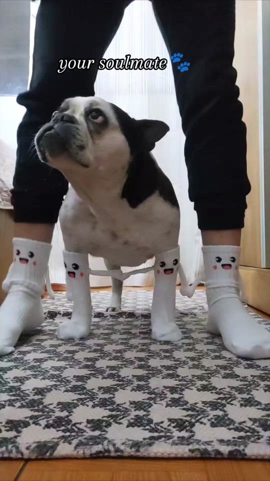 TikTok video thumbnail by dudakikamartini
