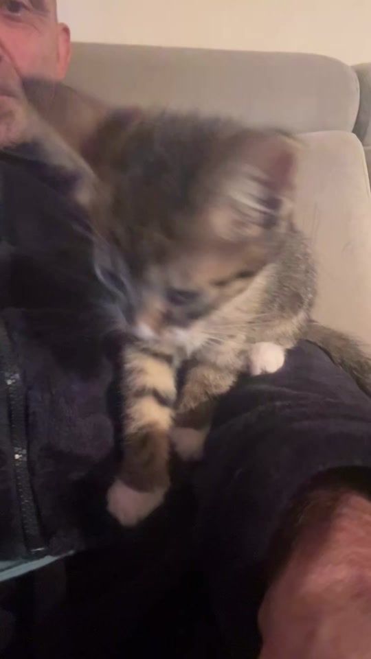 TikTok video thumbnail by wiking2572
