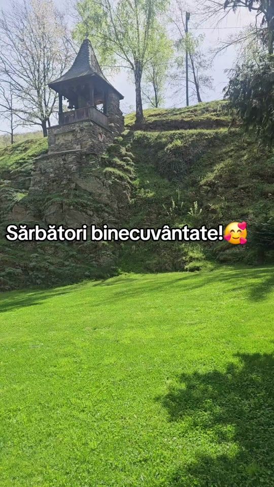 TikTok video thumbnail by ionelaela81