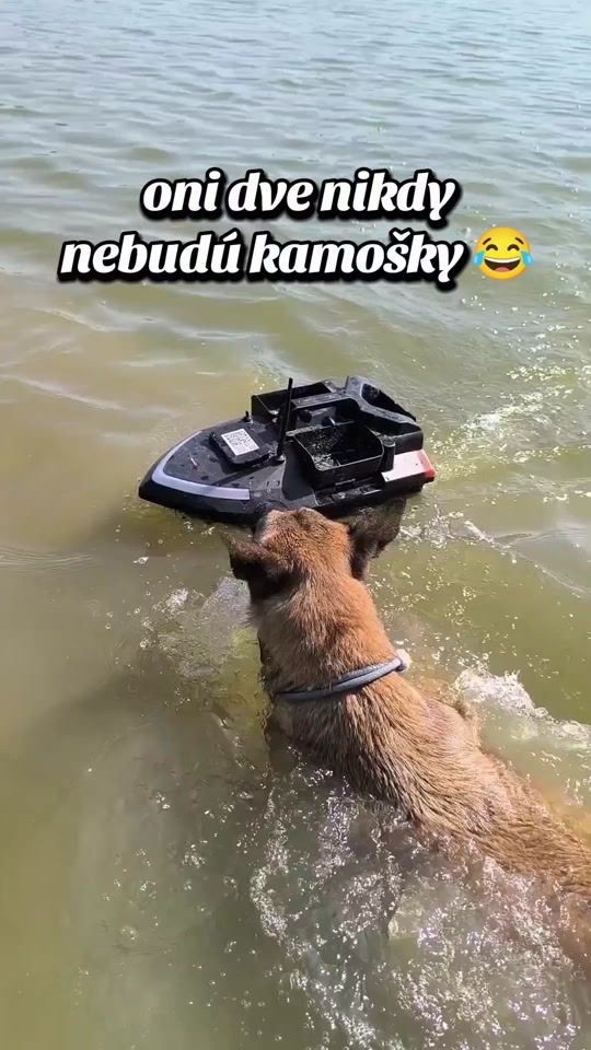 TikTok video thumbnail by lida.bella