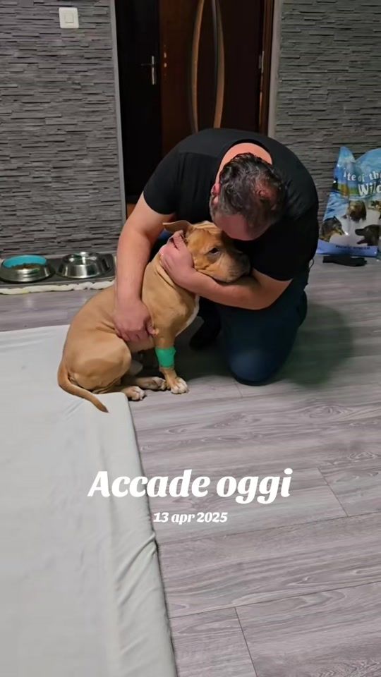TikTok video thumbnail by roxybery