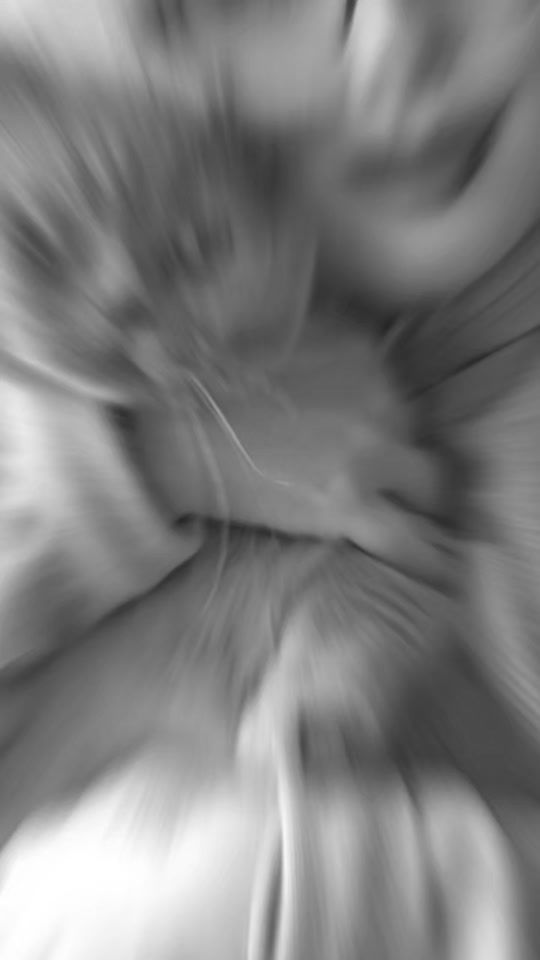 TikTok video thumbnail by arnela_delic