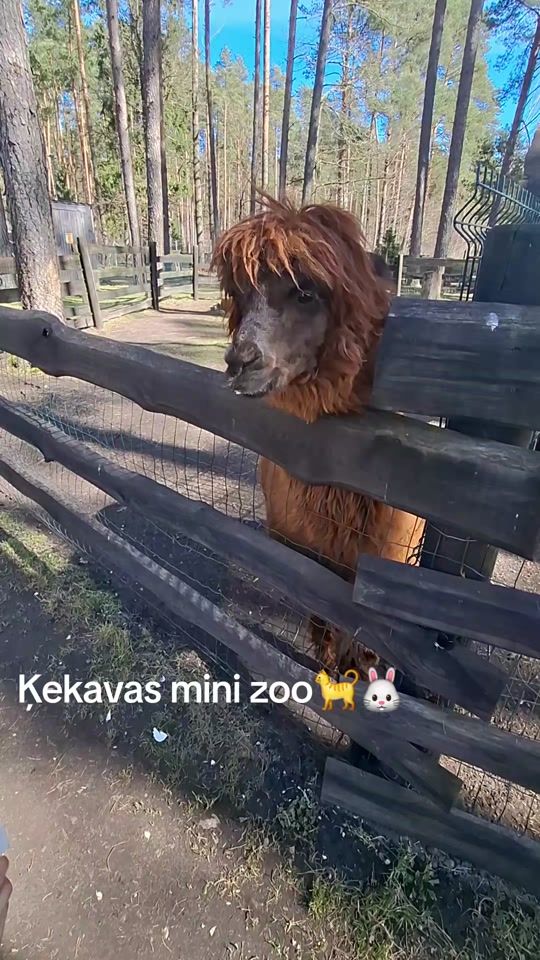 TikTok video thumbnail by la1lux