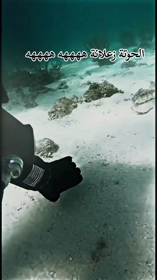 TikTok video thumbnail by samir_madrid01
