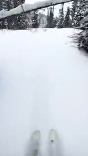 TikTok video thumbnail by lyricsong12_