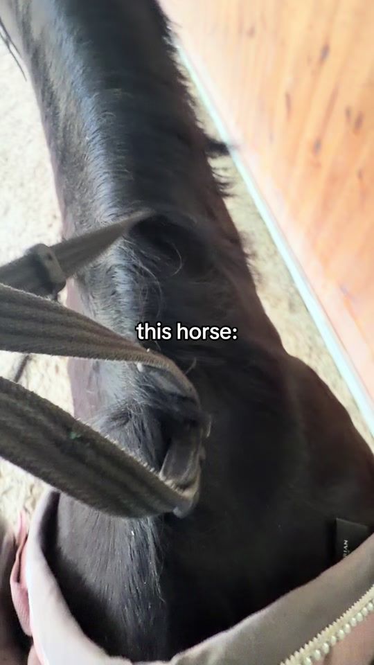 TikTok video thumbnail by m0918046