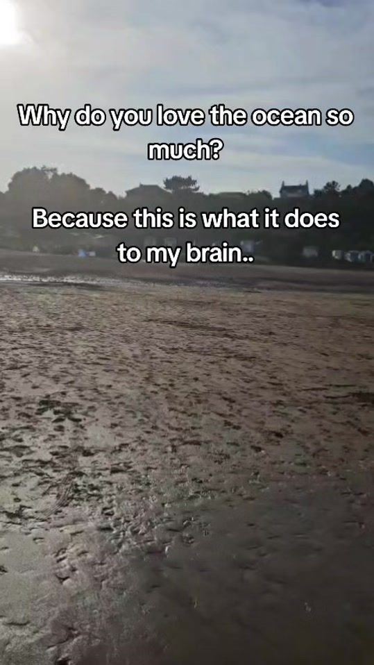 TikTok video thumbnail by margaretelliott06