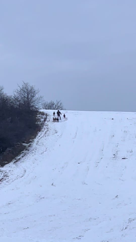 TikTok video thumbnail by mylittlehikinggoats