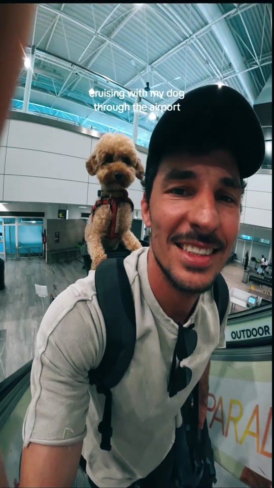 TikTok video thumbnail by lex.poodle