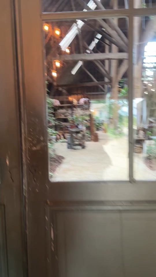 TikTok video thumbnail by dailynonsensenl