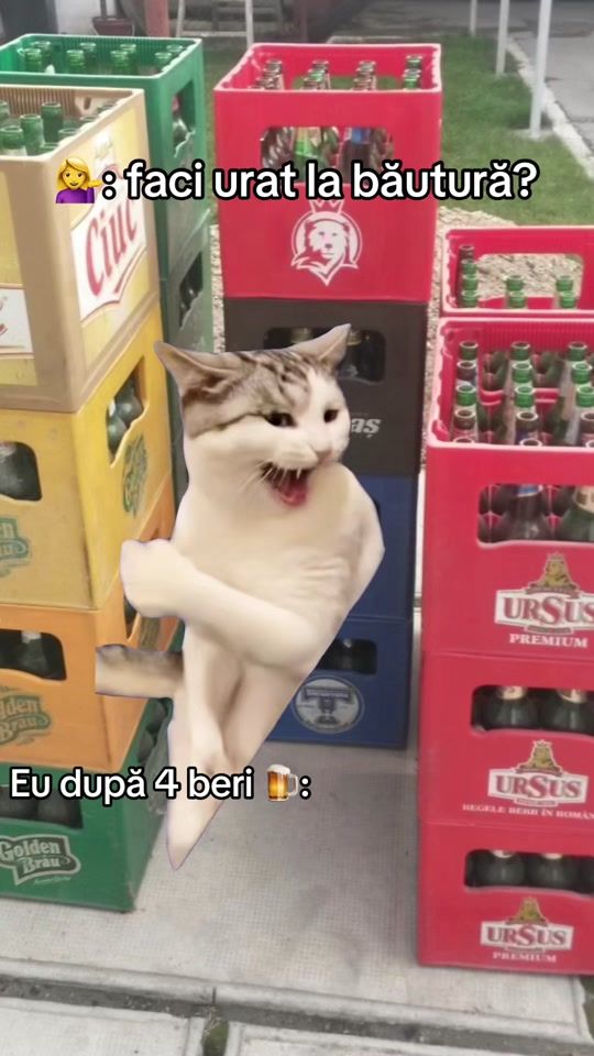 TikTok video thumbnail by steaua.adevarata