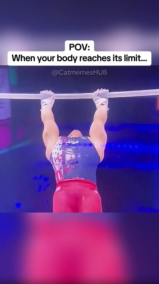 TikTok video thumbnail by cat.memes.hub