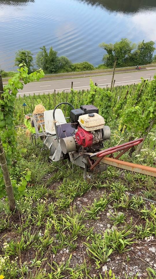 TikTok video thumbnail by gabitanko8