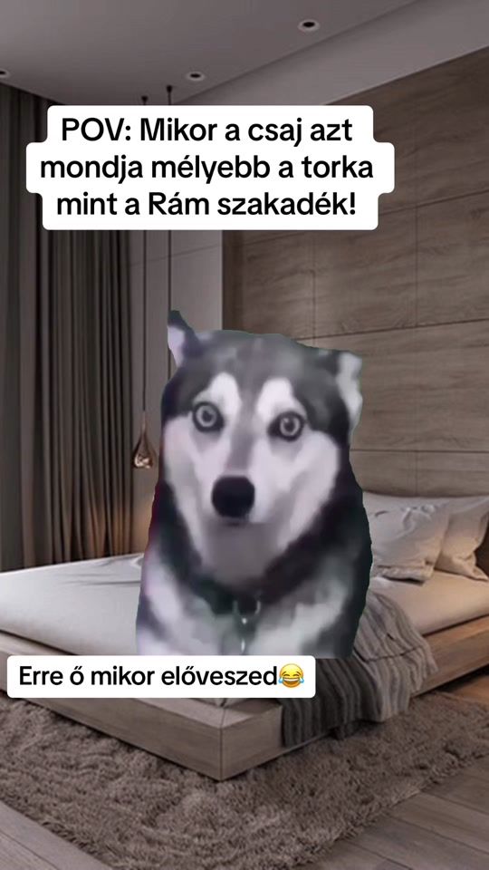 TikTok video thumbnail by buckylarson1