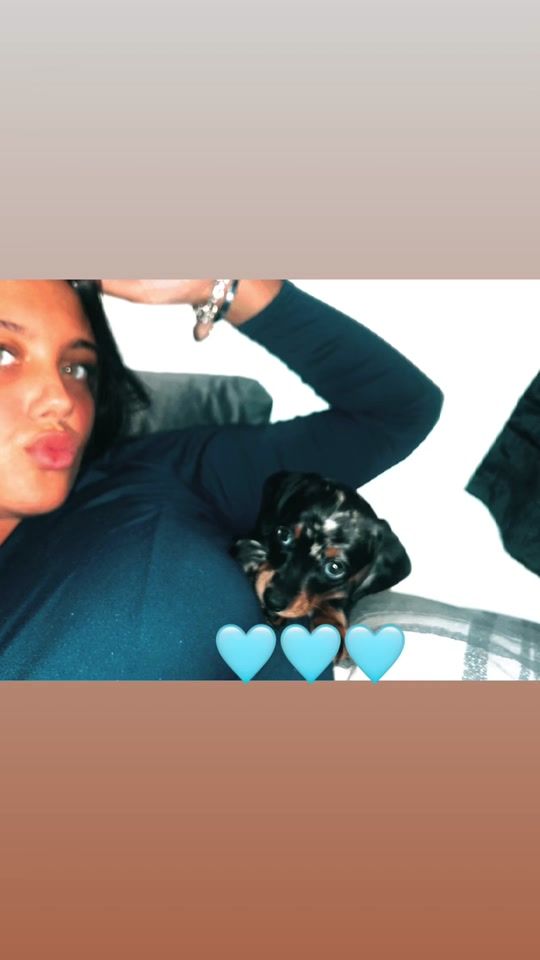 TikTok video thumbnail by hdprivvx