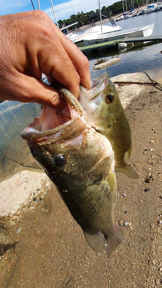 TikTok video thumbnail by santosfishing
