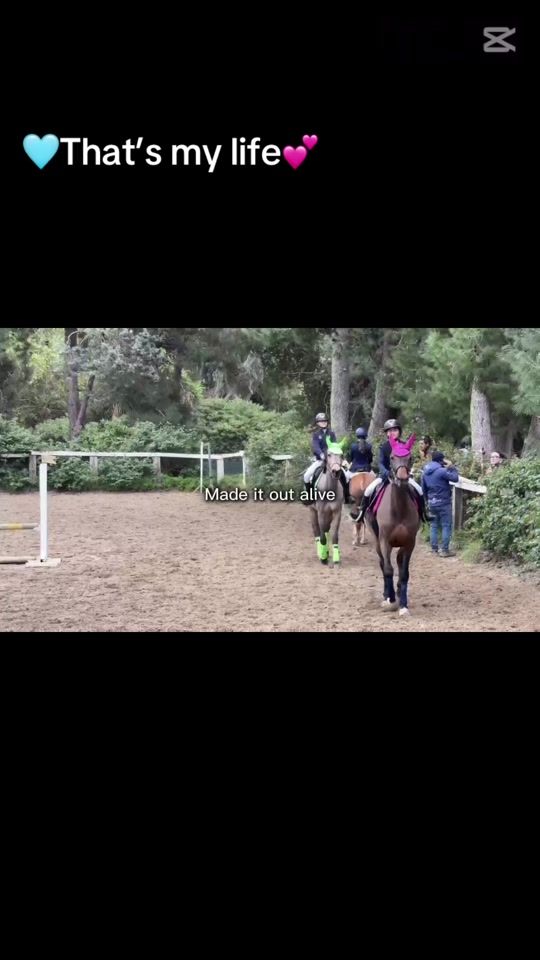 TikTok video thumbnail by matteendhorse