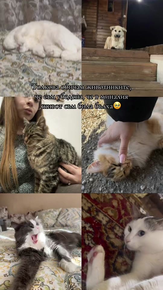 TikTok video thumbnail by anito0520