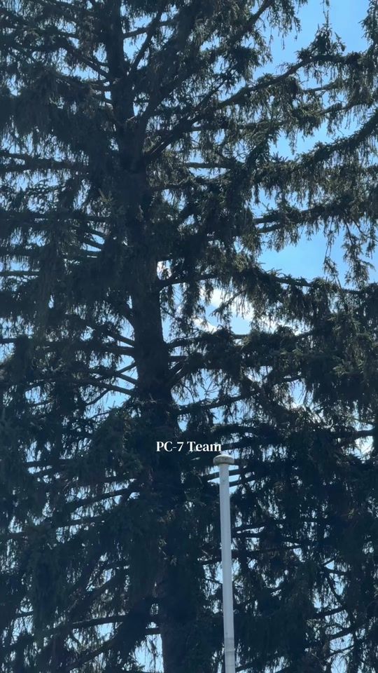 TikTok video thumbnail by aviation1.0