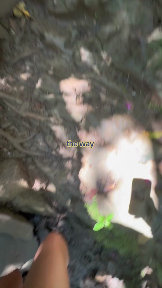 TikTok video thumbnail by kpulehut