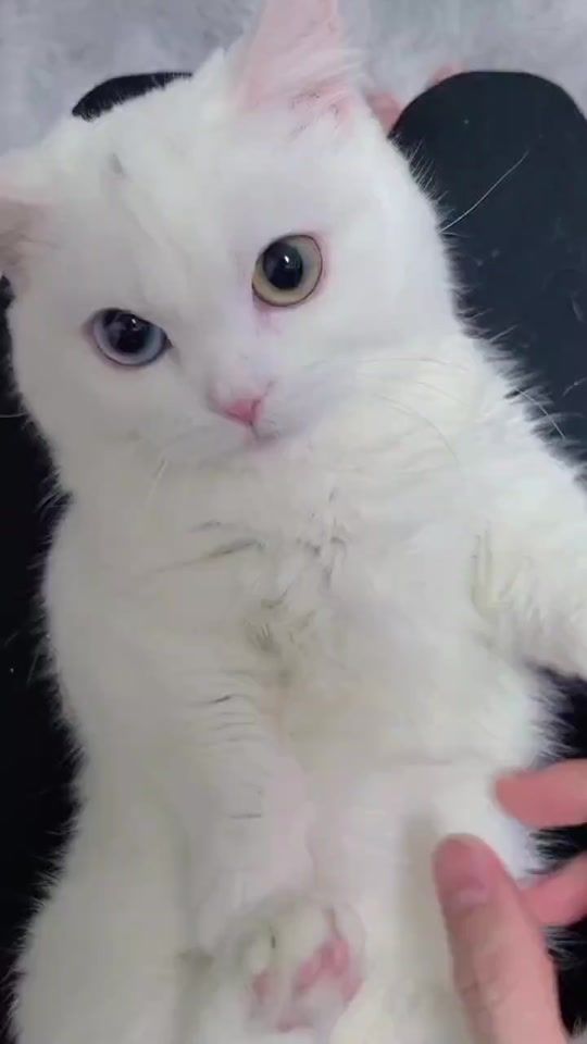 TikTok video thumbnail by nudo.official