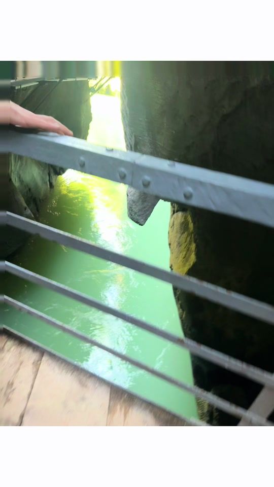 TikTok video thumbnail by lisetemacedo0