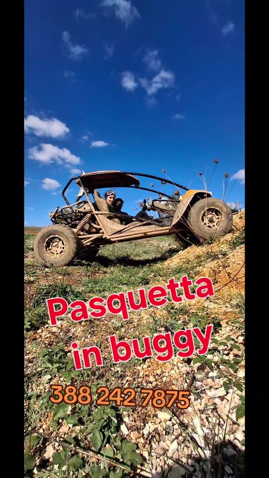 TikTok video thumbnail by puglia_buggy