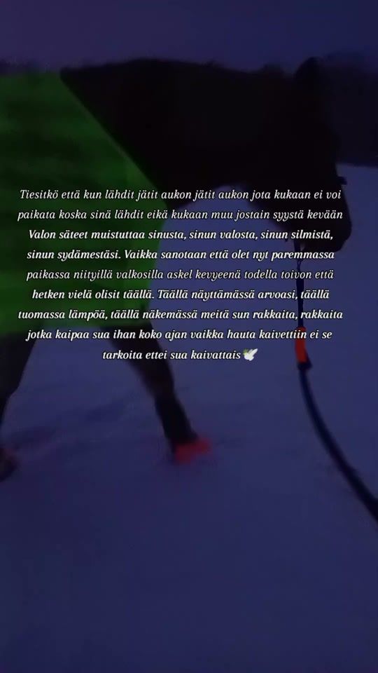 TikTok video thumbnail by equestrian.._..odelia