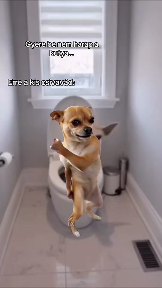TikTok video thumbnail by e60_timoty